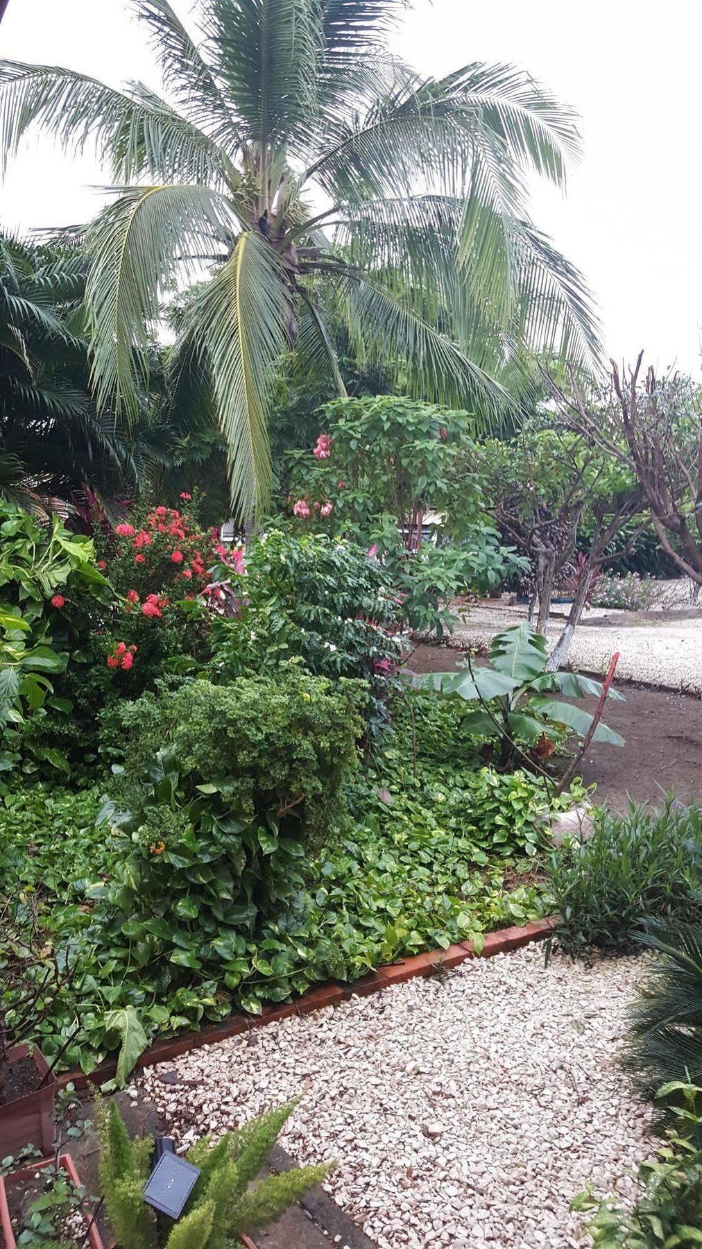 Hotel La Arena Liberia Dış mekan fotoğraf