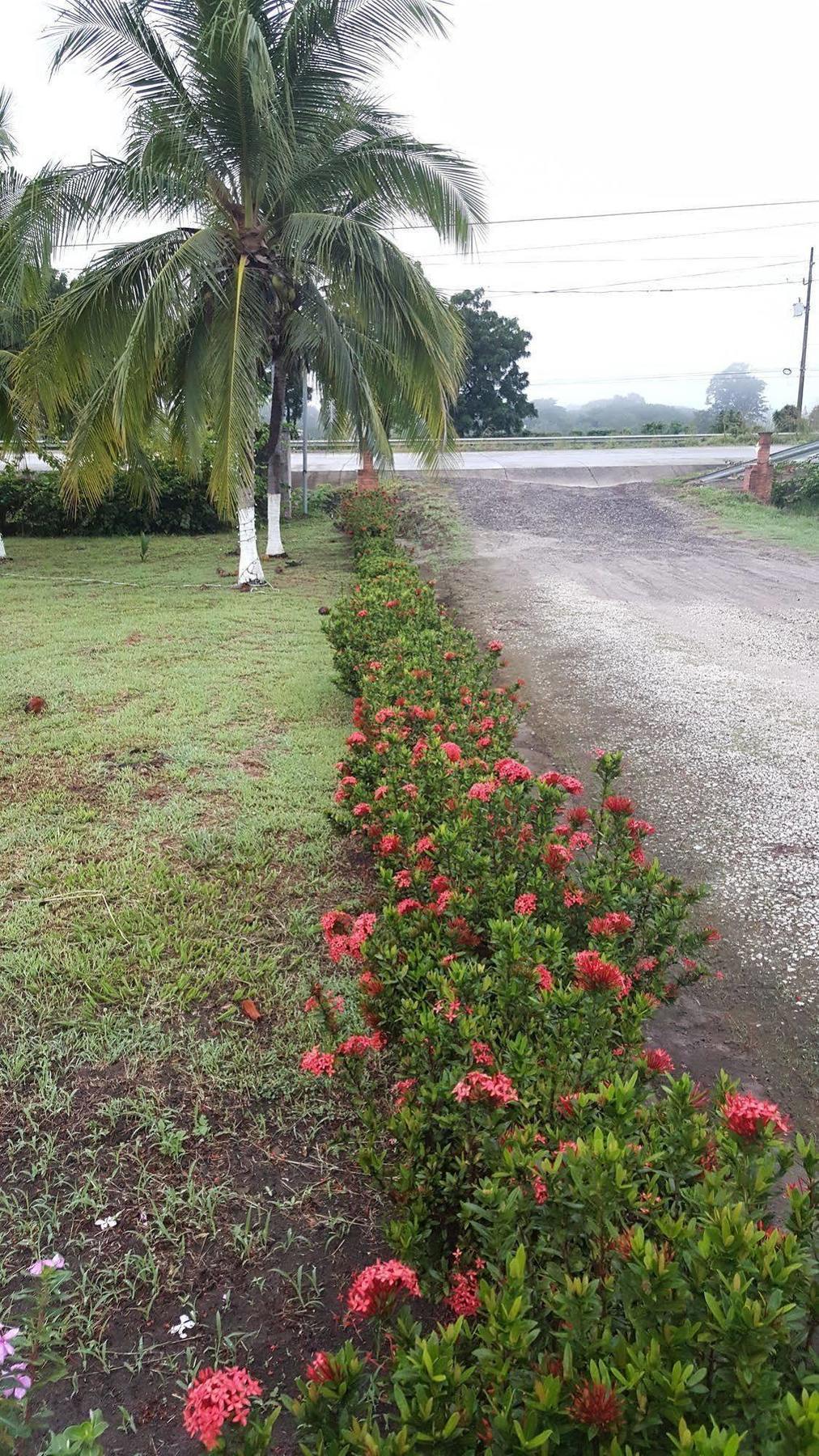 Hotel La Arena Liberia Dış mekan fotoğraf