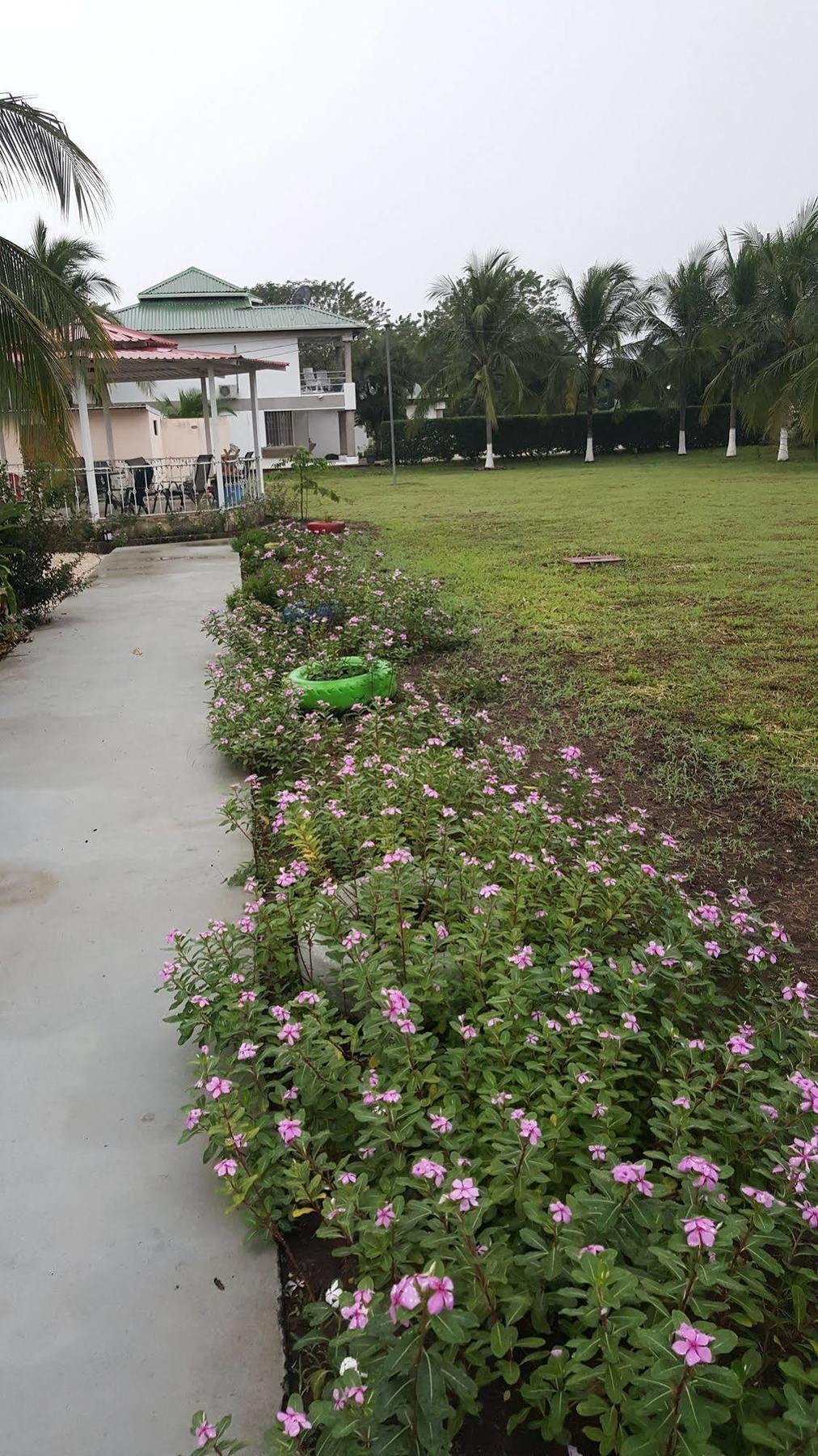 Hotel La Arena Liberia Dış mekan fotoğraf